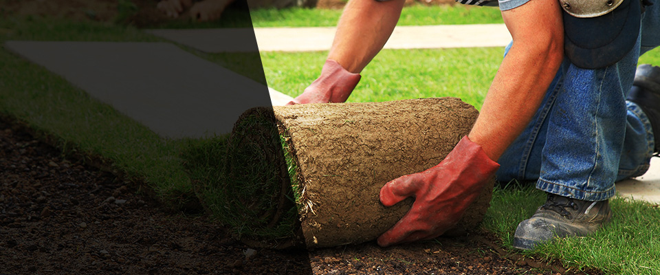 Monroe City Landscapers